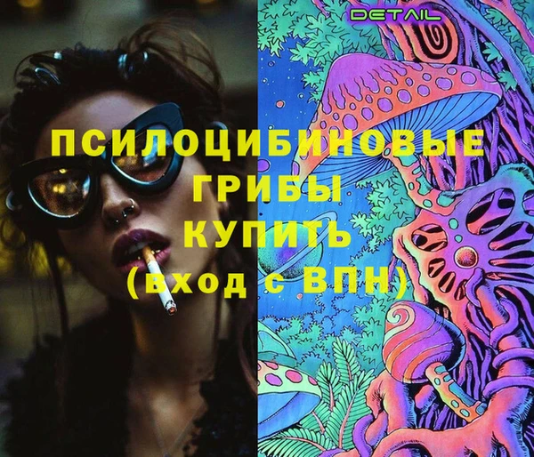 индика Бронницы