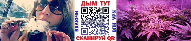 Шишки марихуана MAZAR  Новоаннинский 